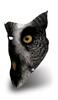 Airhole Animal - owl