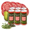 6x Matcha Gun Powder Double Strong v plechovce Samurai shot