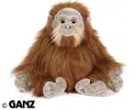Orangutan