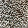 150 g Biele korenie celé