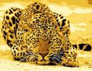 Malování podle čísel - Leopard