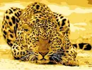 Malování podle čísel - Leopard