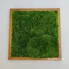 Hranatý obraz s kopčekovým machom ručne vyrobený na Slovensku | Rozmer: 30 x 30 cm