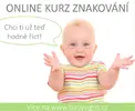 Verze Basic