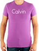 CALVIN KLEIN Tričko cmp93p 4y5 Violet | Velikost: XL