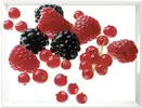 EMSA CLASSIC podnos - bobule | Velikost: 50x37cm