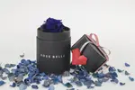 Rose Belle mini box - růže modrá