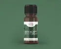 100% esenciální olej – eukalyptus, 10 ml