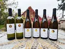 6 x 0,75 l Kartón vín z nitrianskeho vinárstva Bíro (suché a polosuché vína)