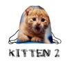 Kitten 2