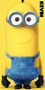 Osuška Minions 083