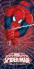 Osuška SPIDER MAN 05