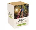 Grow it - Sekvoj