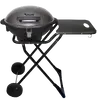 model TT-EG2