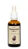 Propolisová tinktura - 50ml
