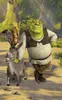 Fototapeta Shrek