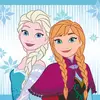 Magický ručníček FROZEN 054