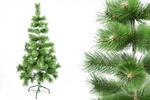 Vánoční borovice | Velikost: 60 cm