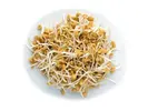 Pískavice – semena na klíčky, 20 g