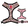 Postroj Reedog LEO PINK | Velikost: XXS