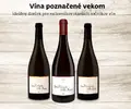 3 x 0,75 l Balík exkluzívnych vín značky MOVINO "Grand " (MIX 3 druhov)
