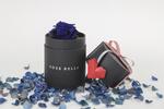 Rose Belle mini box - růže modrá