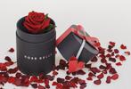Rose Belle mini box - růže červená