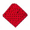 Ferda Mravenec - červený šátek s černými puntíky
