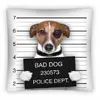 POLŠTÁŘ DOG PS0006 40X40CM