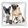 POLŠTÁŘ PETS PS0003 40X40CM