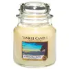 Yankee Candle Zázvorový soumrak, 410 g