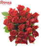 Kytice 25 růží El Toro (40 cm)