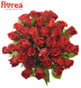Kytice 35 růží El Toro (40 cm)