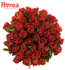 Kytice 55 růží El Toro (40 cm)