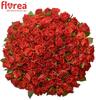 Kytice 100 růží El Toro (40 cm) + doprava zdarma