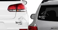 Samolepka na auto Boxer v autě | Velikost: Barva: bílá