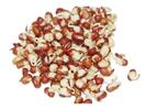 Fazole adzuki – semena na klíčky, 50 g
