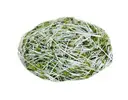 Hořčice bílá – semena na klíčky, 30 g