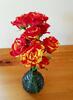 Africká trsová růže Fire Flash 4+ květů