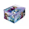 Domopak - úložný box s rukojetí s motivem Frozen