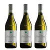 3 bílá vína Roero Arneis, Piemonte, DOCG