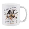 Dlouhosrstá kolie (blue merle)