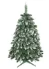 Borovice Platinum horská, 180 cm