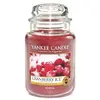 Svíčka Yankee Candle Brusinky na ledu, ve skleněné dóze, 623 g