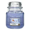 Svíčka Yankee Candle Rampouchy, ve skleněné dóze, 410 g