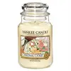 Svíčka Yankee Candle Vánoční cukroví, ve skleněné dóze, 623 g
