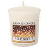 Svíčka Yankee Candle Všechno jen září, 49 g