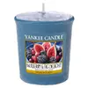 Svíčka Yankee Candle Lahodné moruše a fíky, 49 g
