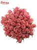 Kytice 55 růží Ace Pink (50 cm)
