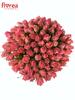 Kytice 100 růží Ace Pink (50 cm)